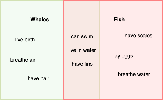 WhalesandFish