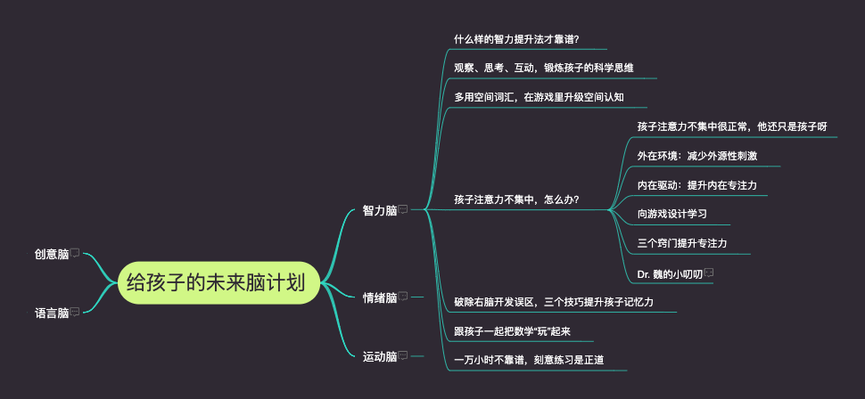 《给孩子的未来脑计划2》魏坤琳   智力脑、情绪脑、运动脑、语言脑、创意脑