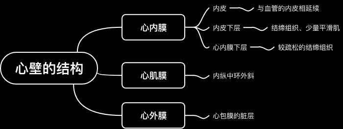 心壁的结构